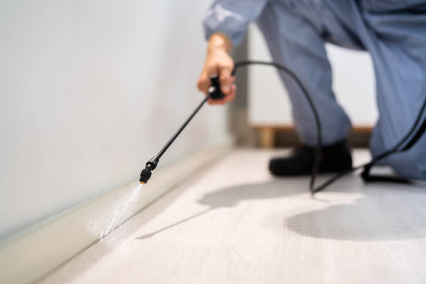 Professional exterminator conducting IPM assessment in Tripoli